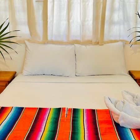 Casa Erizo Mahahual - Adults Only Villa Eksteriør billede