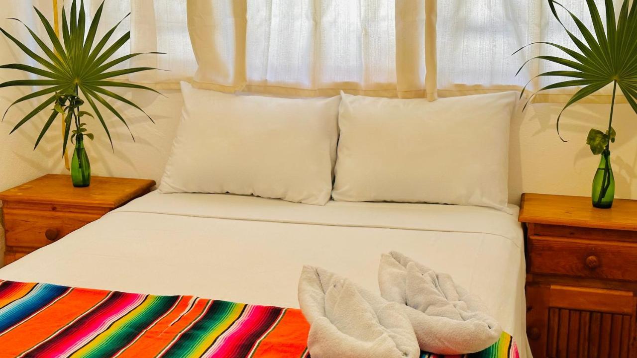 Casa Erizo Mahahual - Adults Only Villa Eksteriør billede